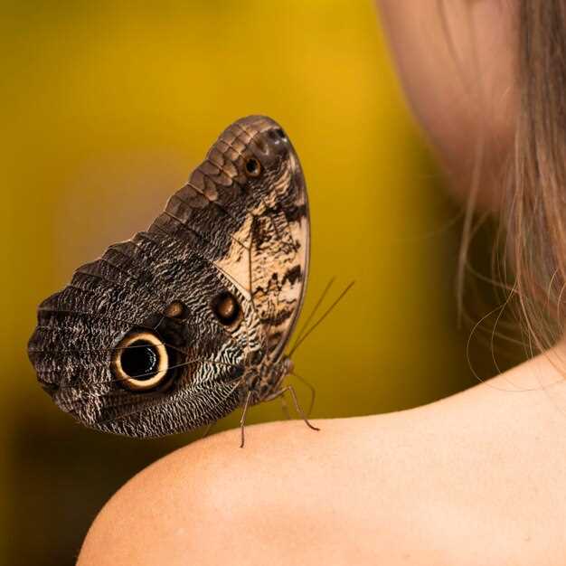 Comment interpréter les piqûres de guêpes sur le corps en rêve