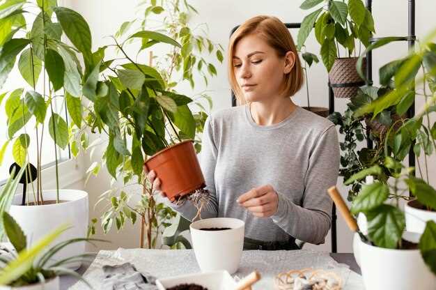 L'importance de l'entretien des fleurs en pot dans le rêve