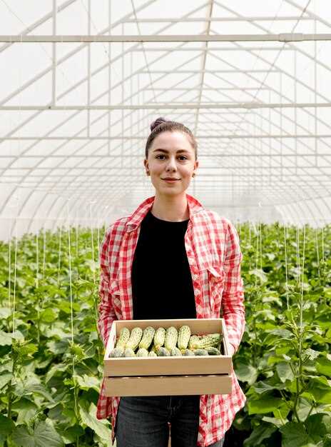 Les plates-bandes du potager : un symbole de fertilité