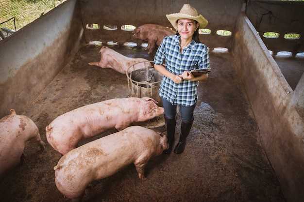 Le porc gras : symbole d'abondance et de prospérité