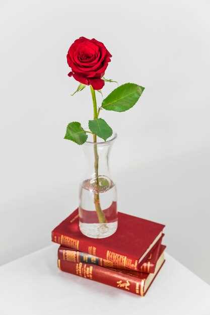 La rose et sa signification dans les rêves romantiques