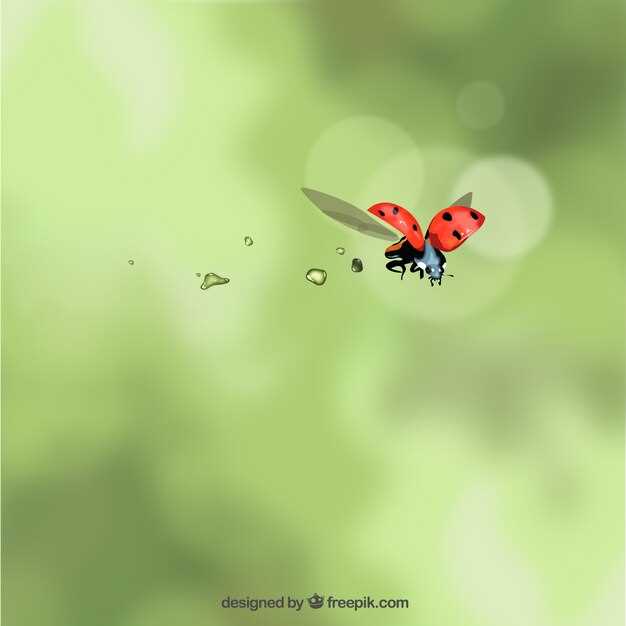 La culpabilité dans les rêves de mouches