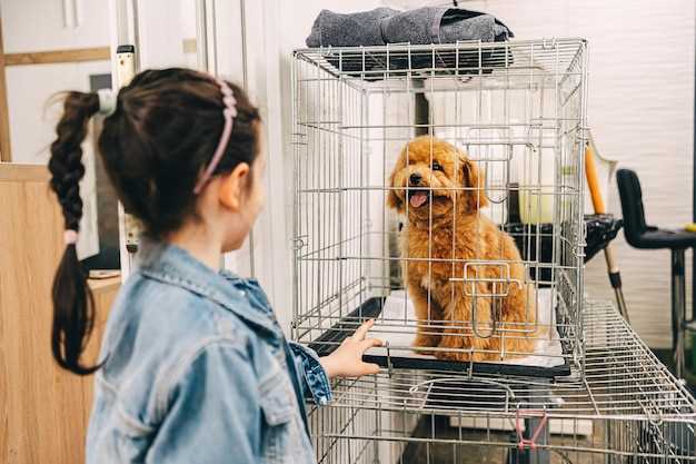 Le chien enfermé dans une cage en rêve