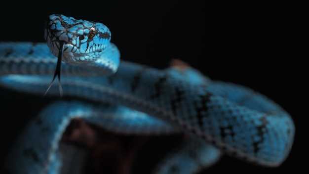 Rêver d'un serpent bleu : un appel à la conscience