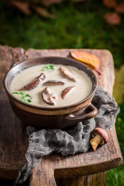 Interprétation des rêves avec la soupe de champignons aux vers