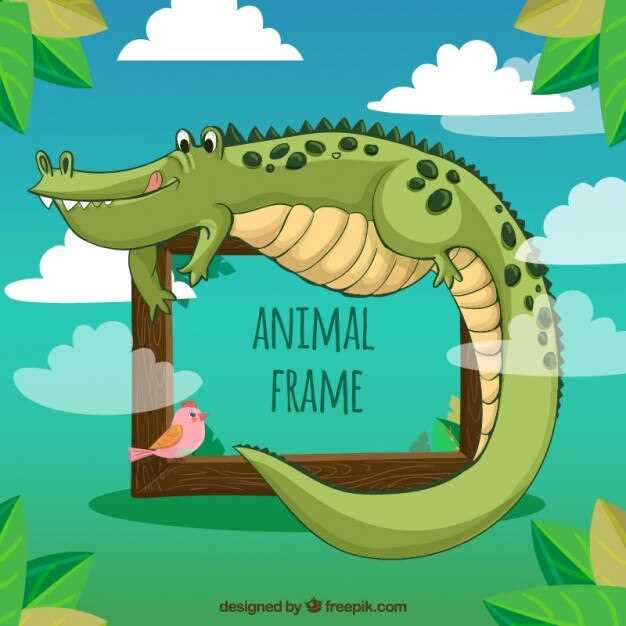 Tuer le crocodile en rêve quelle signification ? Décryptage et analyse