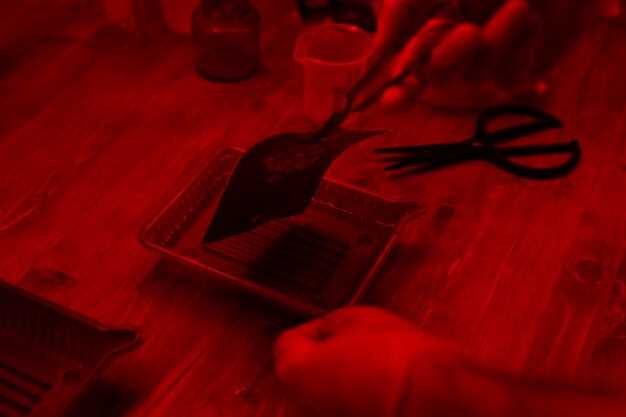 La libération de pulsions agressives