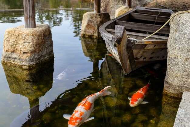 Les émotions associées aux rêves d'un étang avec de gros poissons