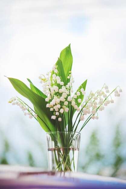 La symbolique du saule dans les rêves