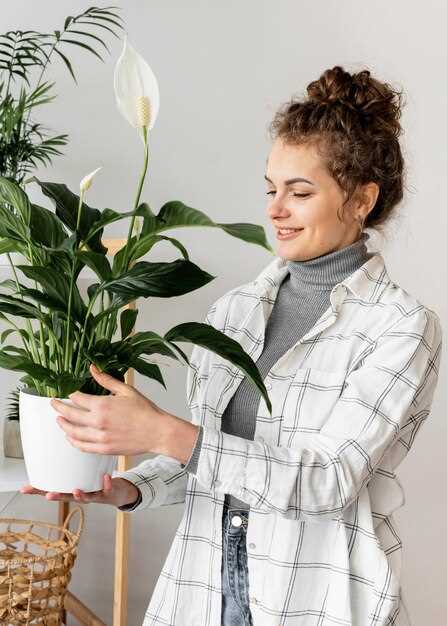 Les fleurs en pot et leurs significations dans les rêves