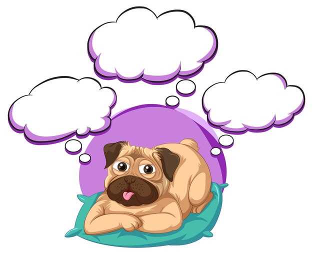 Les différentes interprétations culturelles