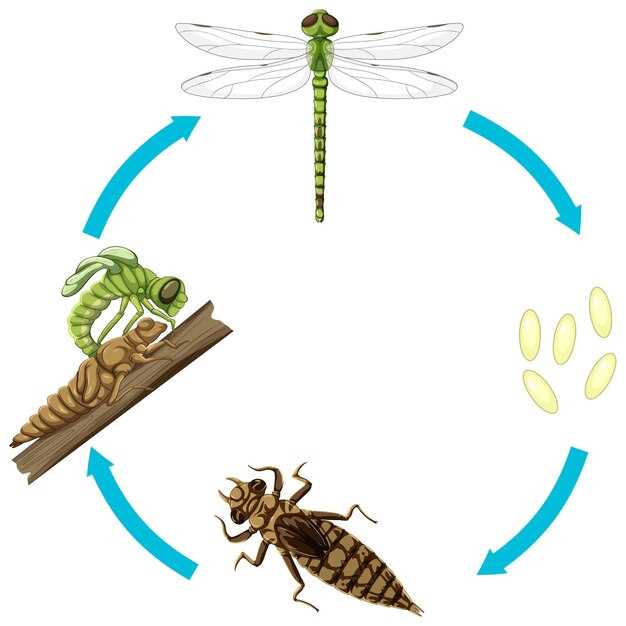 Interprétations possibles des cafards en rêve :