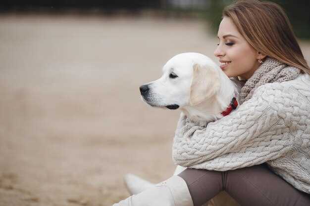 Le Labrador blanc et la pureté