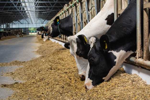 Qu'est-ce que représente un troupeau de vaches dans vos rêves ?