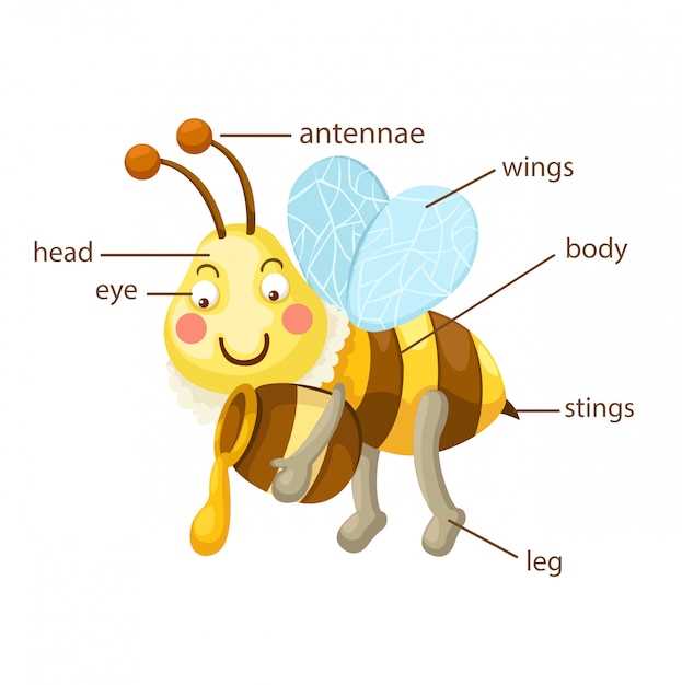 2. Symbole de la transformation et du renouveau