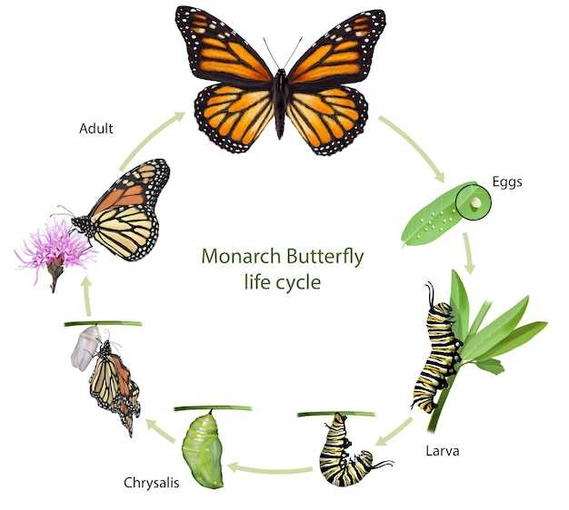 La transition et le changement