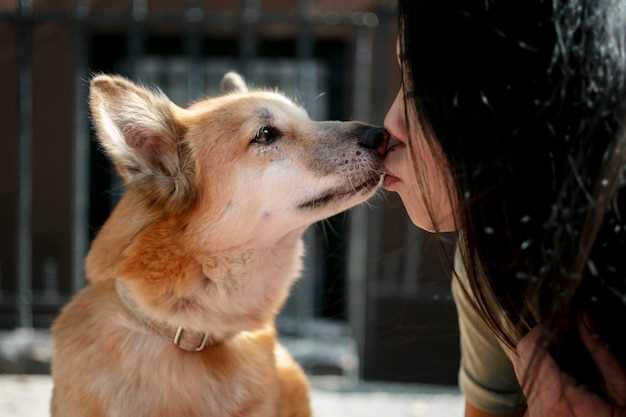 Signification psychologique de la morsure de chien dans le dos