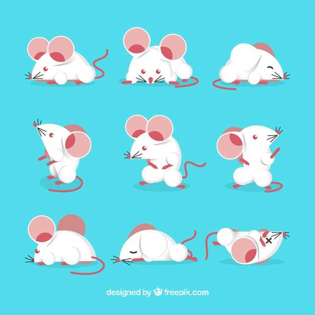 Une souris qui me mord la jambe en rêve quelle signification ? Décryptage et analyse