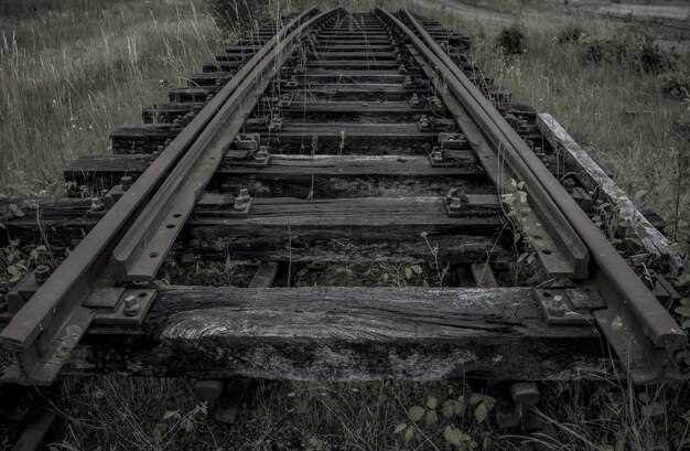 Historique des voies ferrées : de l'invention à la révolution industrielle
